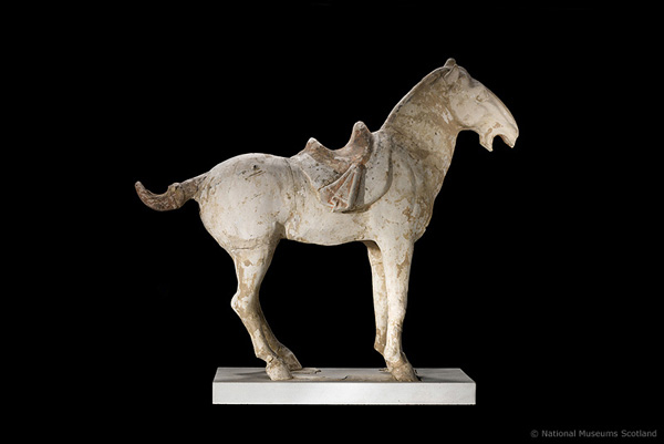 T'ang dynasty pottery Bactrian horse from China 618 - 906 AD